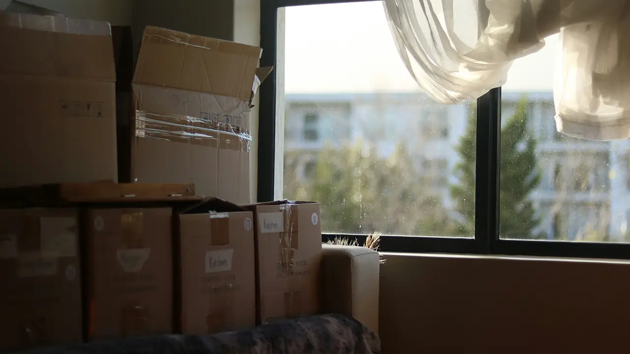An image of moving boxes of a someone moving from Toronto to Hamilton.